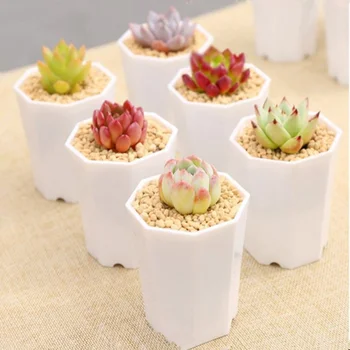Aštuoniakampis Puodą Paprastas Universalus Sultingi Imitacija Keramikos Maža Gėlė Kaktusas Sodinamoji