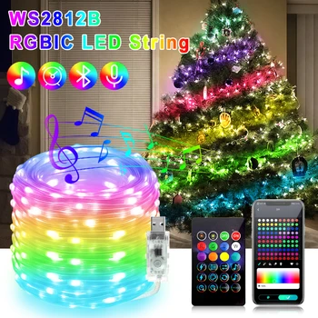 Kalėdų Dreamcolor LED String Žibintai 