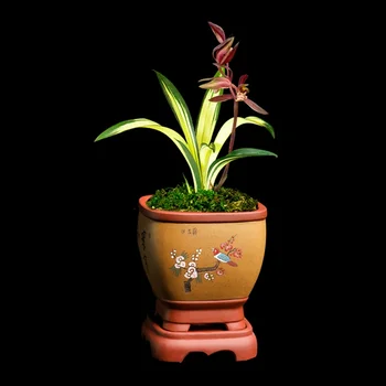 PurpleSand Rankų Darbo Tapybos, Keramikos Bonsai Puodą Cymbidium Augalų Tradicija Kinijoje Succulents Sodo Puošmena