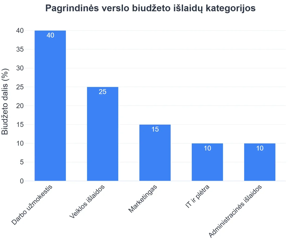 Pagrindinės verslo biudžeto išlaidų kategorijos