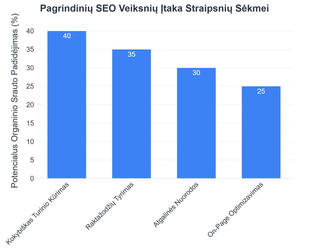 Pagrindinių SEO Veiksnių Įtaka Straipsnių Sėkmei