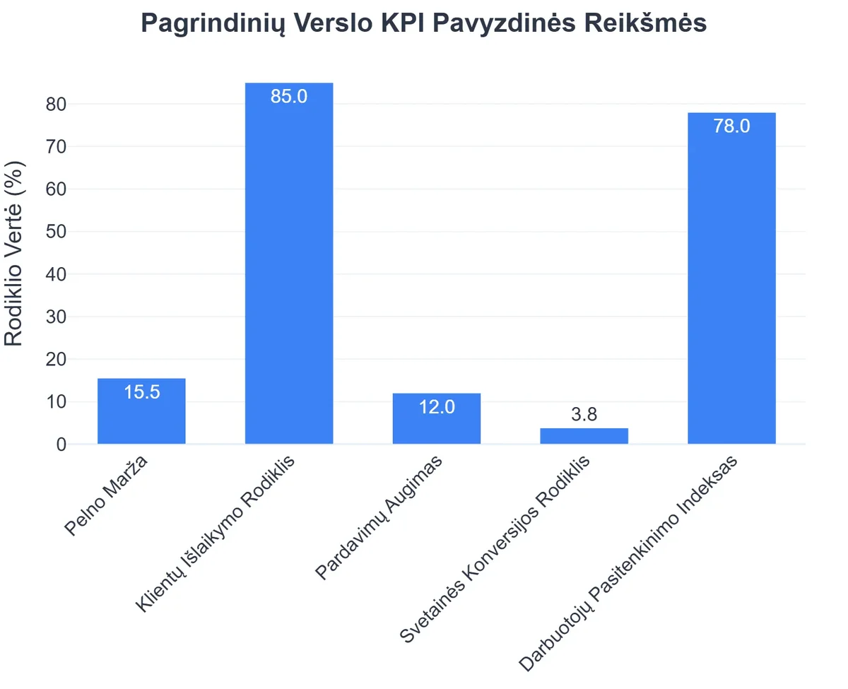 Pagrindinių Verslo KPI Pavyzdinės Reikšmės