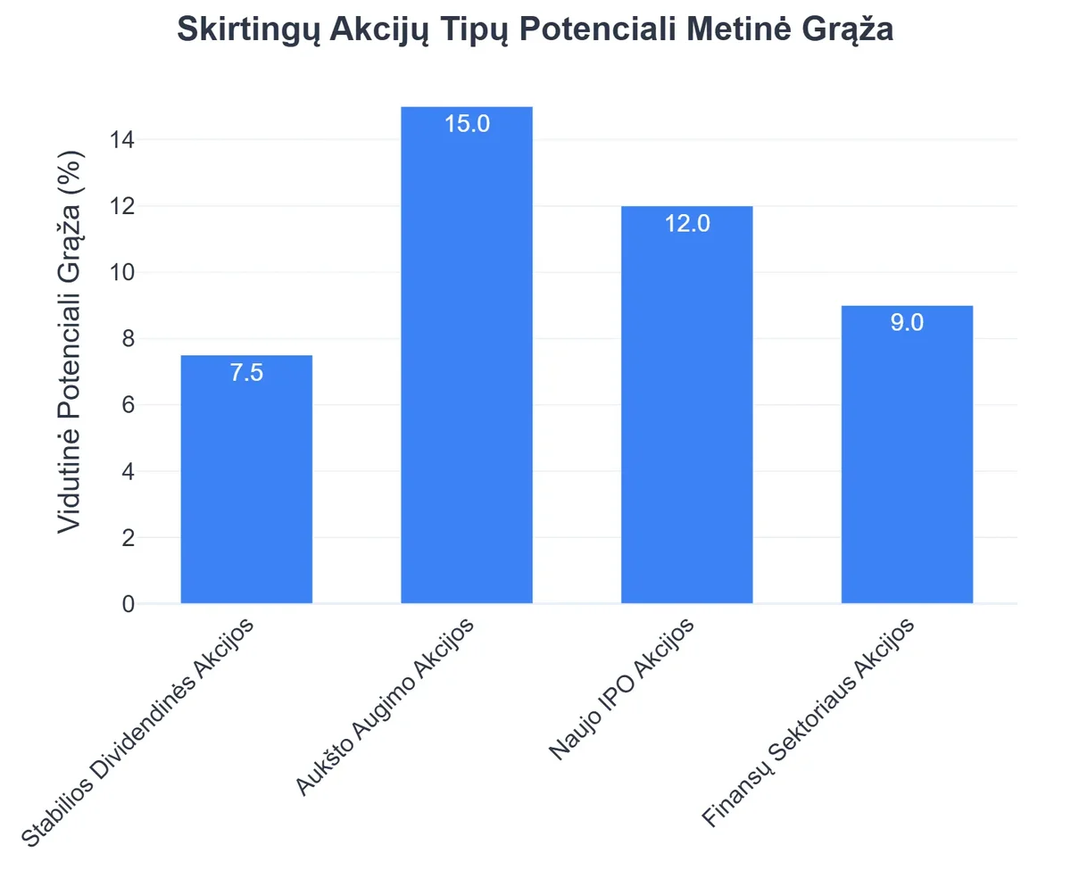 Skirtingų Akcijų Tipų Potenciali Metinė Grąža