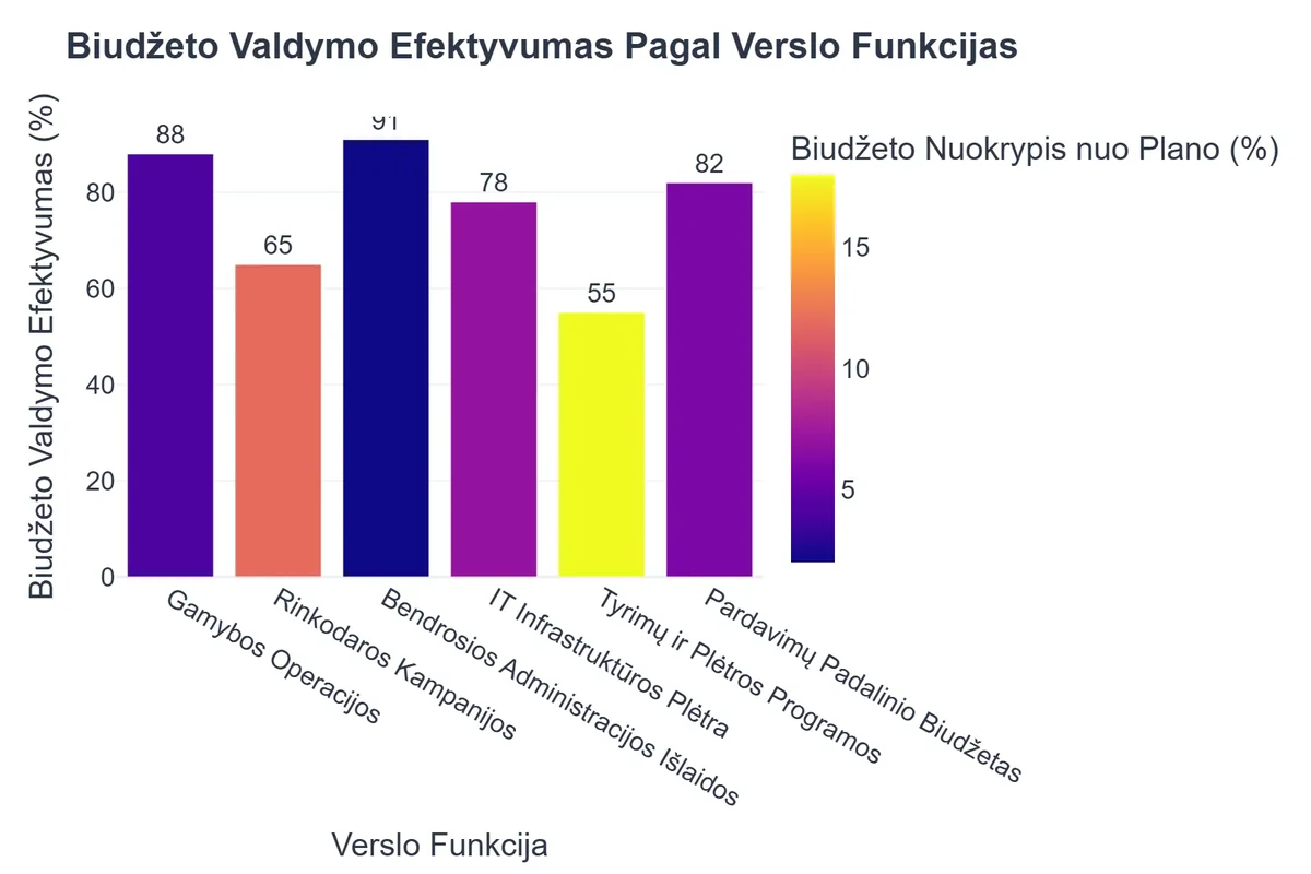Biudžeto Valdymo Efektyvumas Pagal Verslo Funkcijas