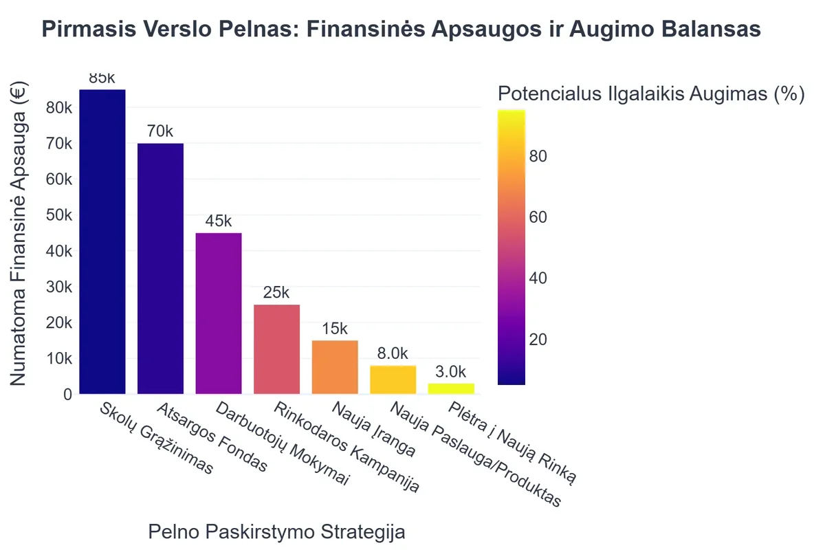 Pirmasis Verslo Pelnas: Finansinės Apsaugos ir Augimo Balansas