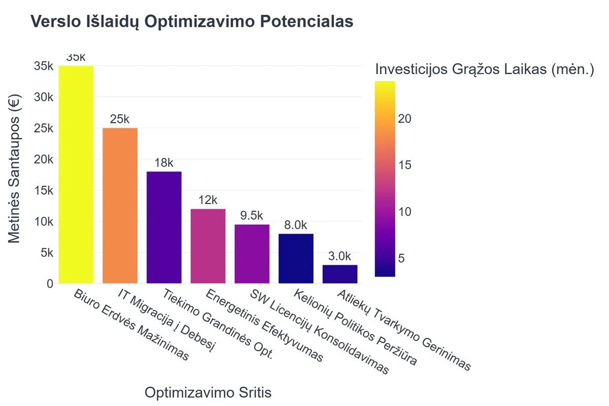 Verslo Išlaidų Optimizavimo Potencialas