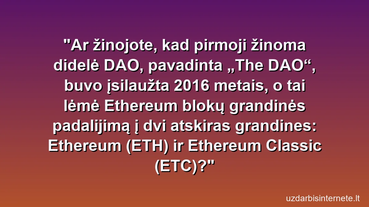Ar žinojote, kad pirmoji žinoma didelė DAO, pavadinta „The DAO“, buvo įsilaužta 2016 metais, o tai lėmė Ethereum blokų grandinės padalijimą į dvi atskiras grandines: Ethereum (ETH) ir Ethereum Classic (ETC)?