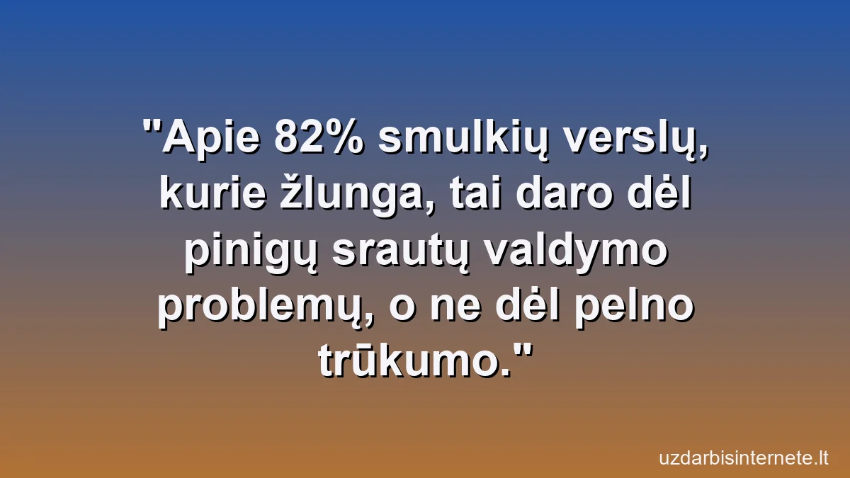 Apie 82% smulkių verslų, kurie žlunga, tai daro dėl pinigų srautų valdymo problemų, o ne dėl pelno trūkumo.