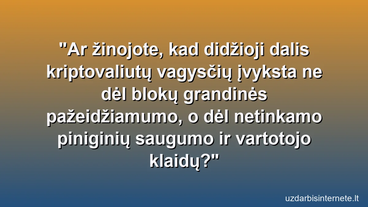 Ar žinojote, kad didžioji dalis kriptovaliutų vagysčių įvyksta ne dėl blokų grandinės pažeidžiamumo, o dėl netinkamo piniginių saugumo ir vartotojo klaidų?