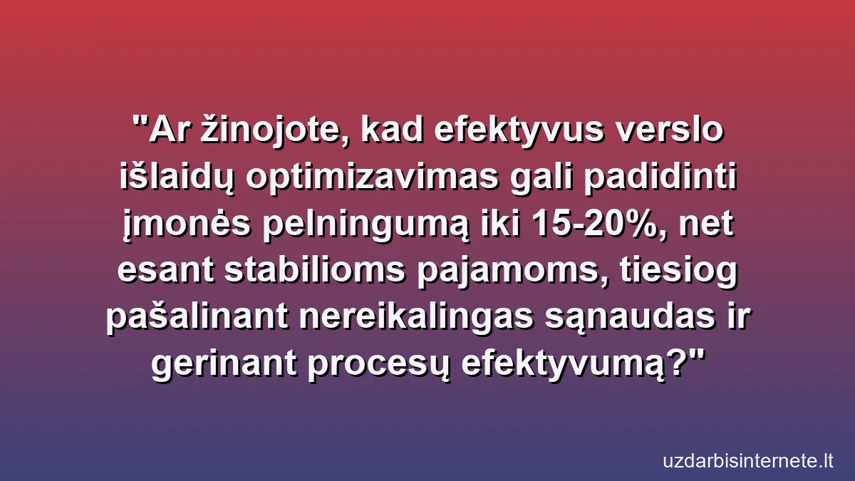 Ar žinojote, kad efektyvus verslo išlaidų optimizavimas gali padidinti įmonės pelningumą iki 15-20%, net esant stabilioms pajamoms, tiesiog pašalinant nereikalingas sąnaudas ir gerinant procesų efektyvumą?