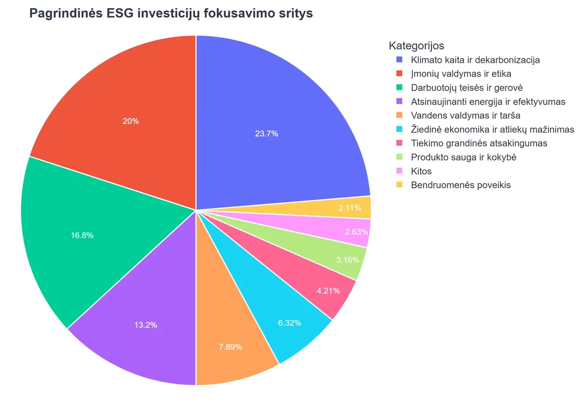 Pagrindinės ESG investicijų fokusavimo sritys