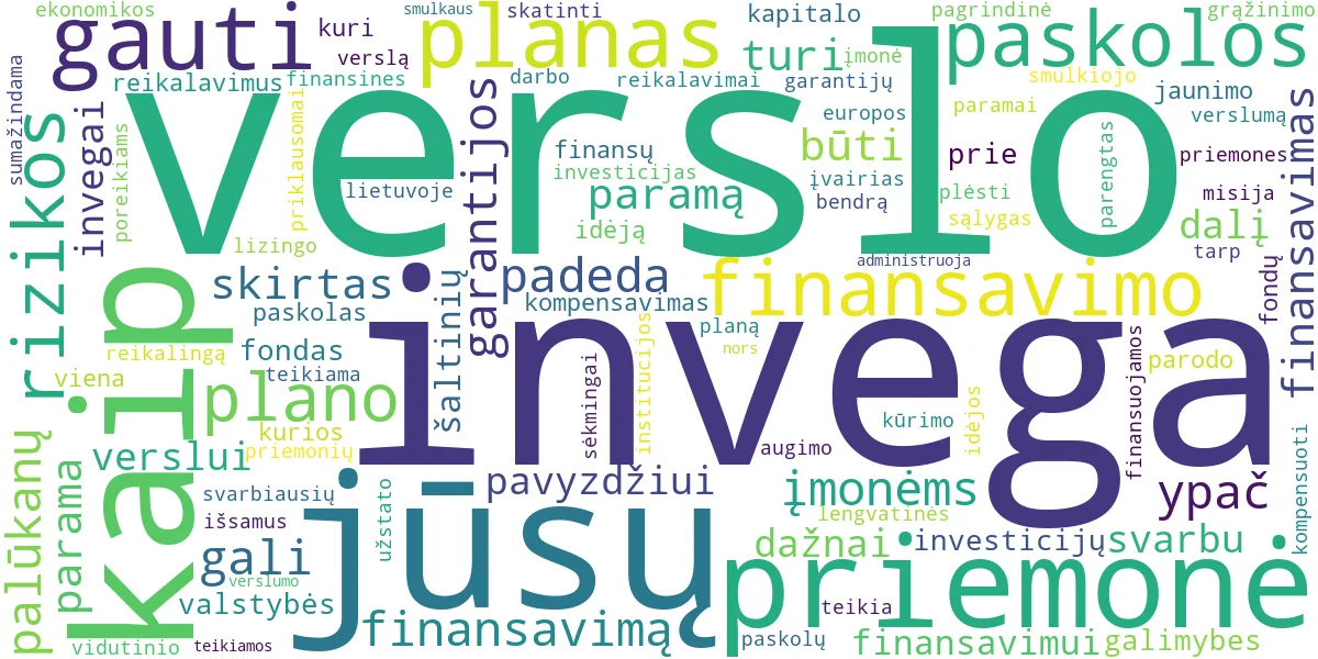 Word cloud for article: INVEGA Finansavimas: Verslo Plano Parengimas ir Parama