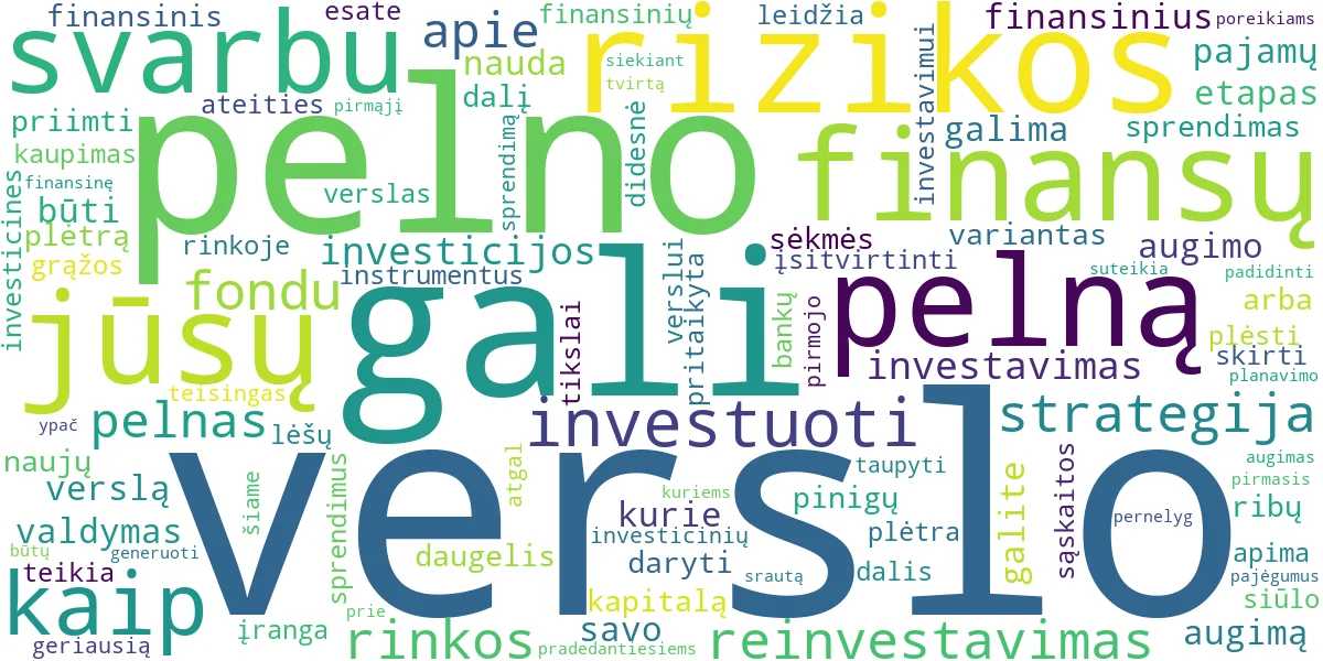 Word cloud for article: Pirmas Verslo Pelnas: Investuoti, Taupyti ar Plėsti Verslą?