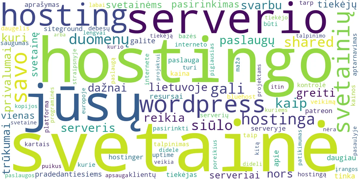 Word cloud for article: Svetainių talpinimo (hosting) paslaugos pasirinkimas: išsamus gidas
