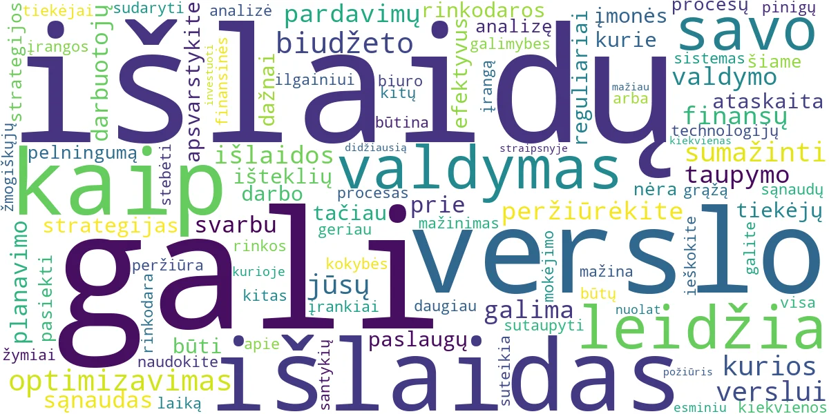 Word cloud for article: Verslo Išlaidų Optimizavimas: Efektyvios Taupymo Strategijos