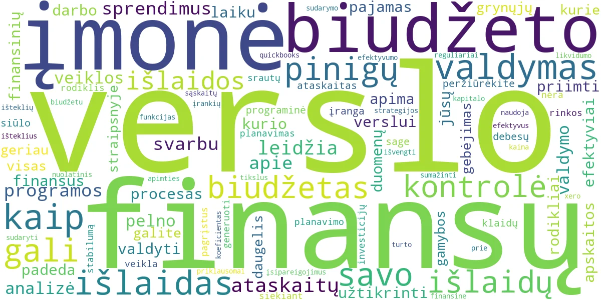 Word cloud for article: Verslo finansų valdymas: biudžeto planavimas ir kontrolė